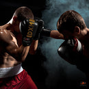 DXM Premium Boxing Gloves for Men & Women - Black & Gold 7 image